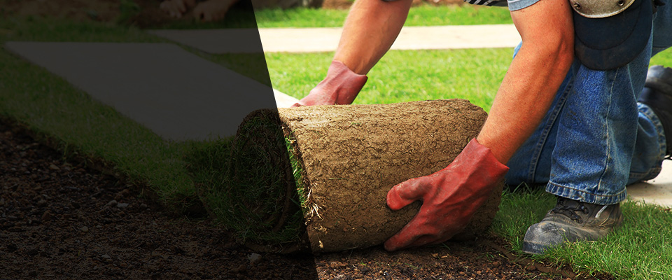 Wilson Landscapers